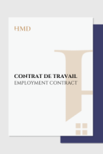 Employment Contract