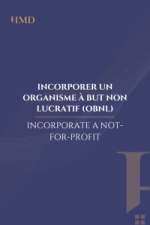 Non-Profit Organization Incorporation in Quebec